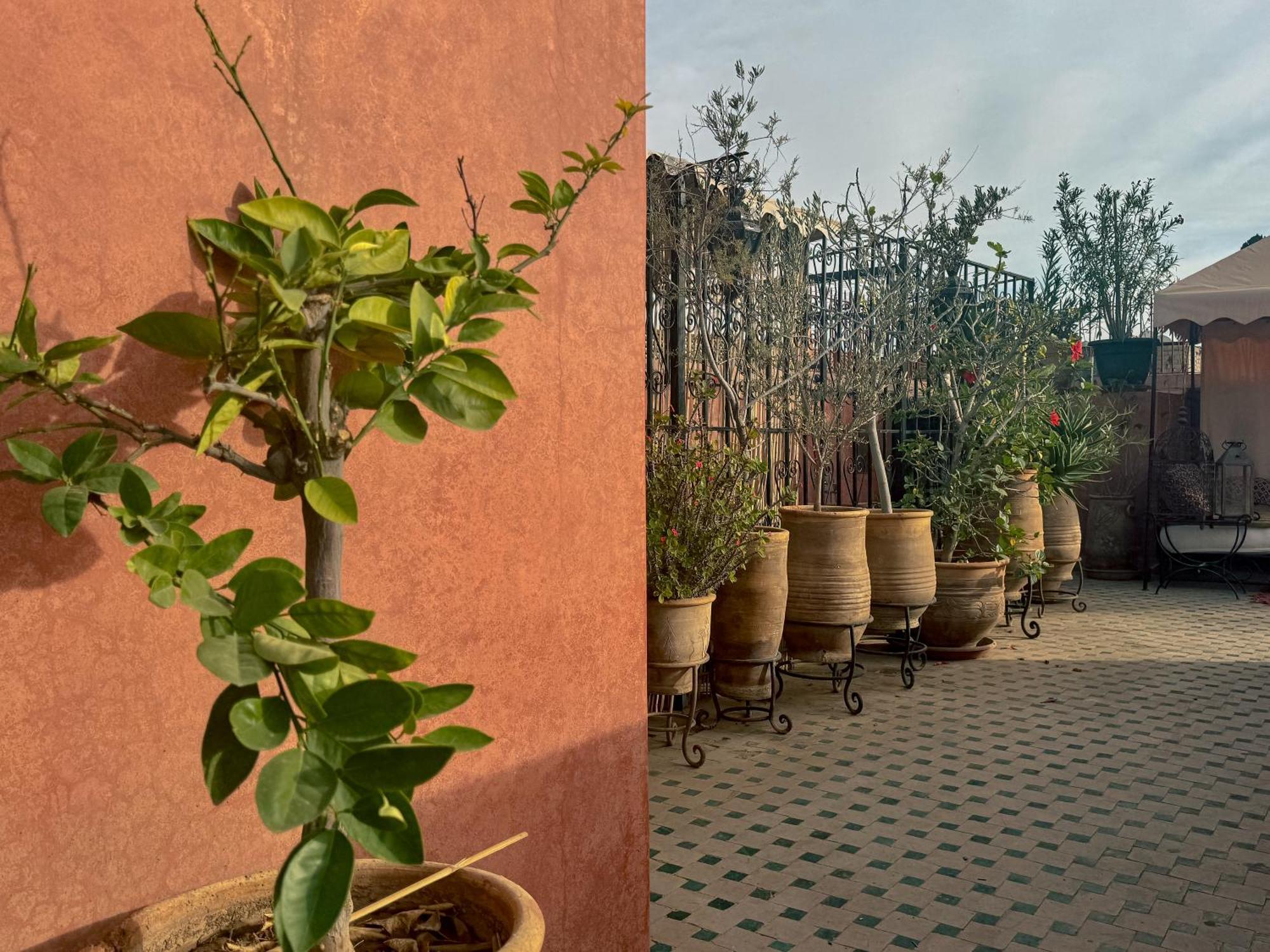 Riad Lapis-Lazuli Marrakesh Buitenkant foto